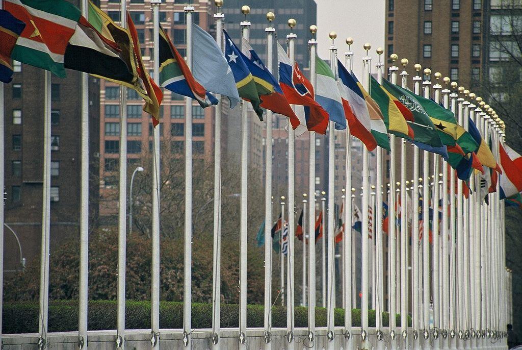 UN Members' flags - Credit: Wikimedia, Aotearoa